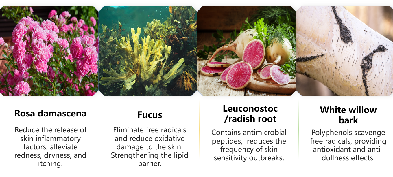 Bruma tónica equilibrante