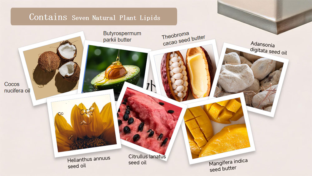 Ingredientes clave de la leche corporal body milk key ingredients